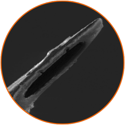 Fibre de carbone platinée biseauté 30 µm (microélectrode implantable)