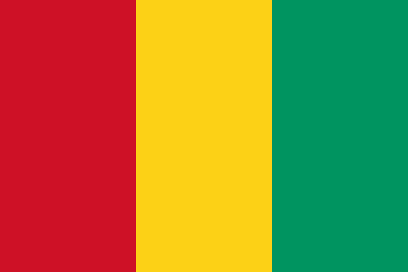 Origalys Electrochemistry Disbributors Network in Guinea